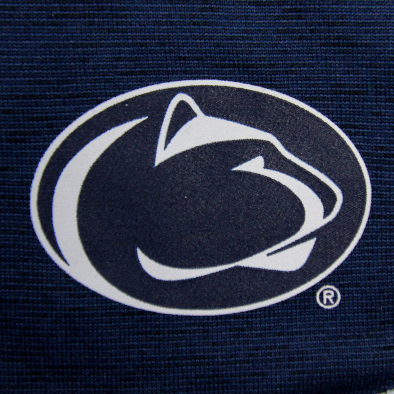 Penn State Nittany Lions